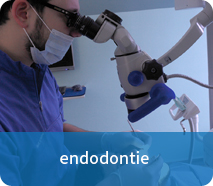 endodontie